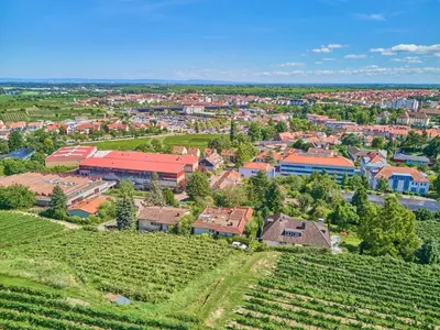 Blick auf Weinbergnest aus der Vogelperspektive