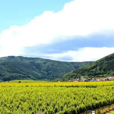 Panoramablick