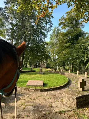Ein Garten an der Unterkunft Ferienwohnung am Wald