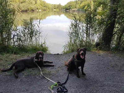 Blick auf einen Fluss in der Nähe der Ferienwohnung