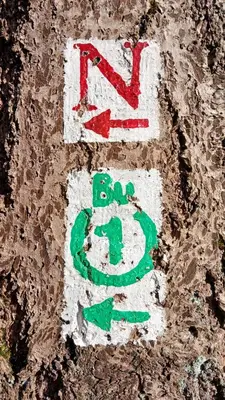Ein Zertifikat, Auszeichnung, Logo oder anderes Dokument, das in der Unterkunft Bullau-bü - Appartment im Grünen ausgestellt ist