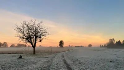 Naturlandschaft in der Nähe der Ferienwohnung