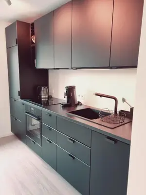 Küche/Küchenzeile in der Unterkunft Ferienwohnung BellaPfalz