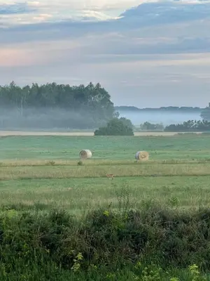 Naturlandschaft in der Nähe der Ferienwohnung