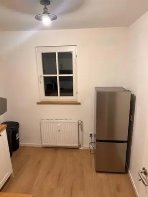 Küche/Küchenzeile in der Unterkunft 2 Zimmer Appartment für 3 Personen mit Küche und Duschbad