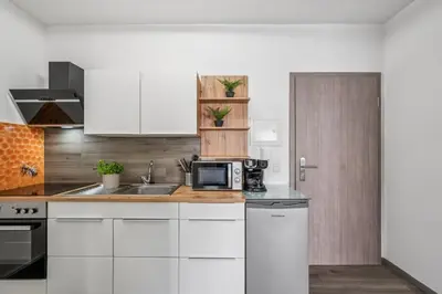 Küche/Küchenzeile in der Unterkunft Business Apartment Lorsch WLAN & Parkplatz