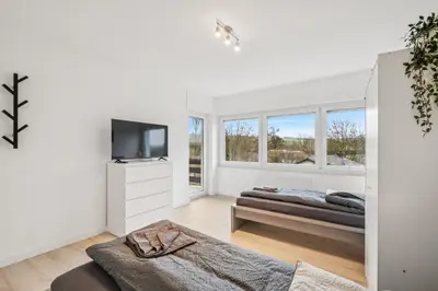 TV/Unterhaltungsangebot in der Unterkunft DS-RENT - 4 Schlafzimmer - bis 6 Pers - Albisheim