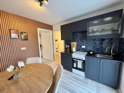 Küche/Küchenzeile in der Unterkunft modernes Apartment 1 für Monteure mit Parkplatz in Lampertheim