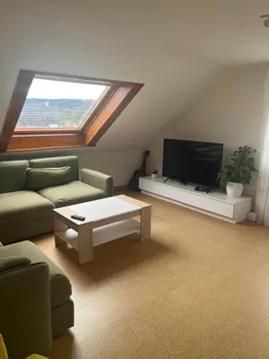 TV/Unterhaltungsangebot in der Unterkunft 2 Zimmerwohnung