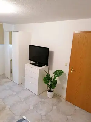 TV/Unterhaltungsangebot in der Unterkunft bookandstay24 com Babenhausen Apartment mit 2 Betten und Küche