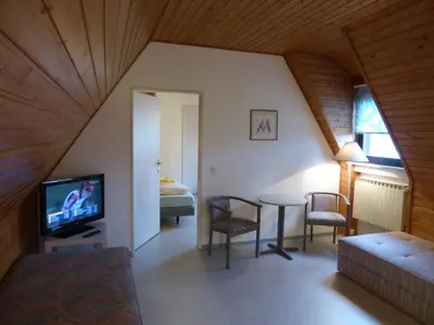 TV/Unterhaltungsangebot in der Unterkunft Gästehaus an der Rheinbrücke