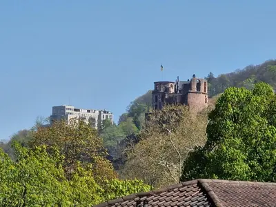 Naturlandschaft in der Nähe der Ferienwohnung