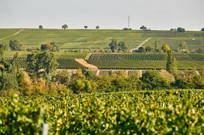 Naturlandschaft in der Nähe des Hotels