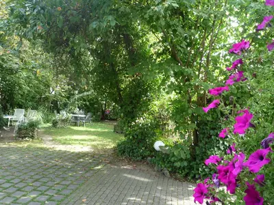Ein Garten an der Unterkunft biozertifiziertes Hotel Höpfigheimer Hof mit Wein-Shop