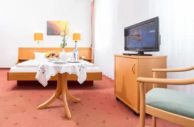 TV/Unterhaltungsangebot in der Unterkunft Hotel Pfälzer Wald