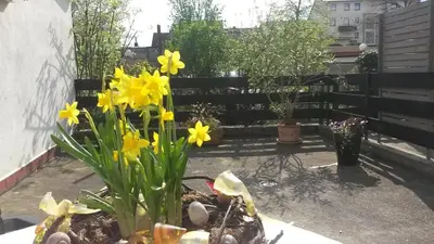 Ein Garten an der Unterkunft Eulennest-lu