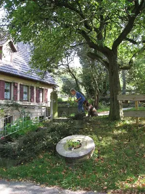 Ein Garten an der Unterkunft Gasthaus Zur Ölmühle