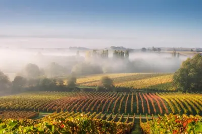 Naturlandschaft in der Nähe des Hotels