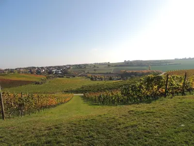 Naturlandschaft in der Nähe der Pension