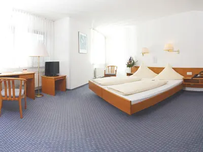 TV/Unterhaltungsangebot in der Unterkunft City Hotel Mark Michelstadt