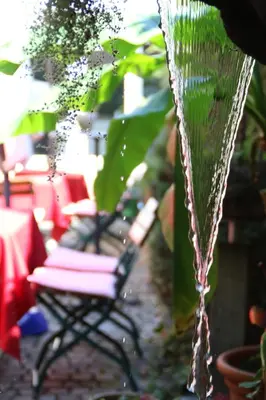 Ein Garten an der Unterkunft Alter Winzerhof Weisenheim am Berg e.K.