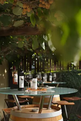 Getränke in der Unterkunft Wein-Domizil Brennofen