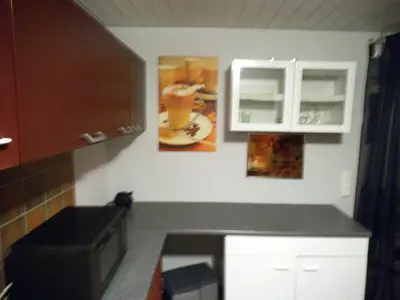 Küche/Küchenzeile in der Unterkunft Exclusiv-Mietapartment (BDSM)-Heidelberg