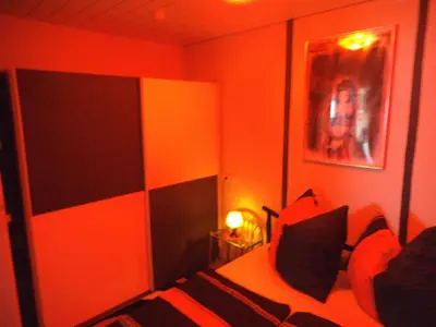 Ein Bett oder Betten in einem Zimmer der Unterkunft Exclusiv-Mietapartment (BDSM)-Heidelberg