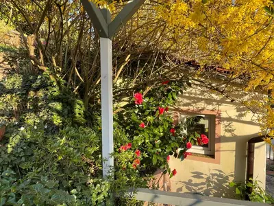 Ein Garten an der Unterkunft Am Berggarten