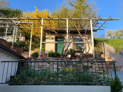 Ein Garten an der Unterkunft Am Berggarten