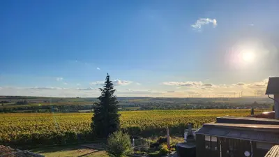 Naturlandschaft in der Nähe der Ferienwohnung