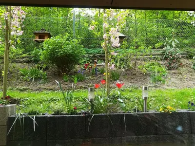 Ein Garten an der Unterkunft Nichtraucherferienwohnung-Neckarblick ZE-2022-74-WZ-118A