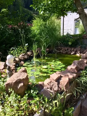 Ein Garten an der Unterkunft Apartment End