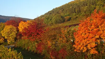 Naturlandschaft in der Nähe des Privatzimmers