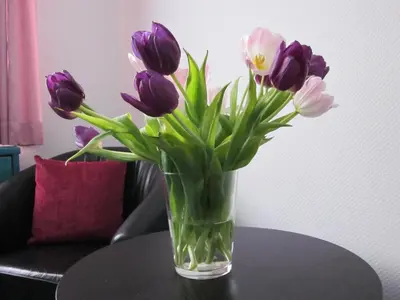 Ein Sitzbereich in der Unterkunft Hotel Anlage Heidelberg