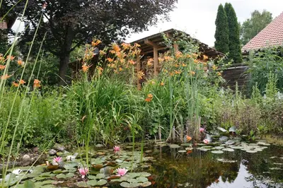 Ein Garten an der Unterkunft Gemütliche Gästezimmer in einem neu sanierten Fachwerkhaus