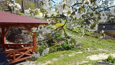 Ein Garten an der Unterkunft Gästehaus Gerhardt