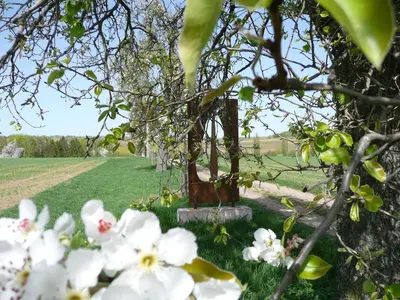 Ein Garten an der Unterkunft Ferienwohnungen Haus Sauer