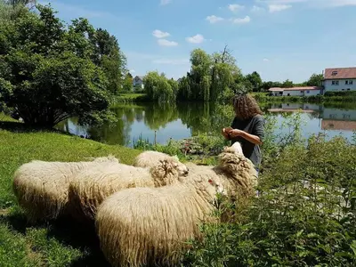 Naturlandschaft in der Nähe der Ferienwohnung