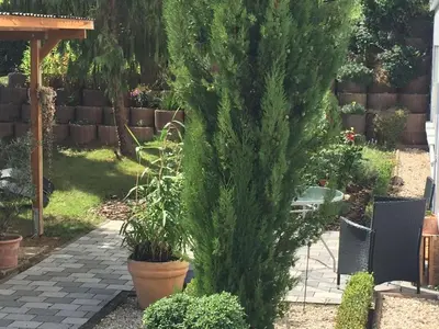 Ein Garten an der Unterkunft Ferienwohnung Wegst