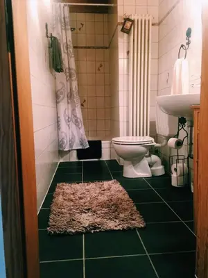 Ein Badezimmer in der Unterkunft Biohof Zahn