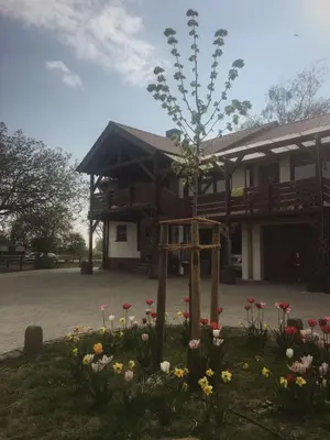 Das Gebäude in dem sich die Ferienwohnung befindet