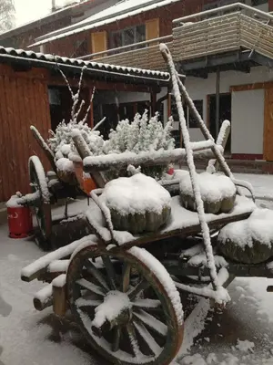 Johanneshof Gästehaus im Winter
