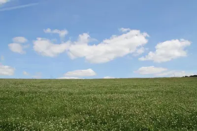 Naturlandschaft in der Nähe des Bauernhofs