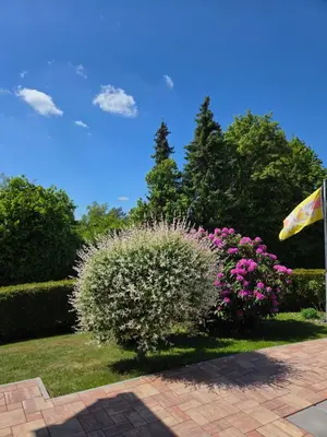 Ein Garten an der Unterkunft Ferienwohnung Irmgard und Ferienwohnung Gerlinde