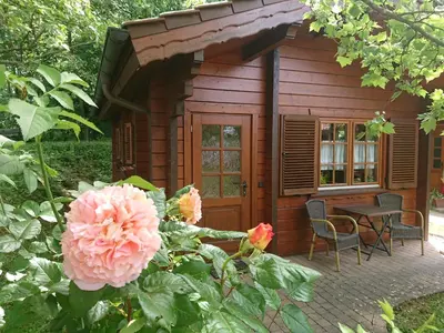 Ein Garten an der Unterkunft Landgasthof Gänsberg