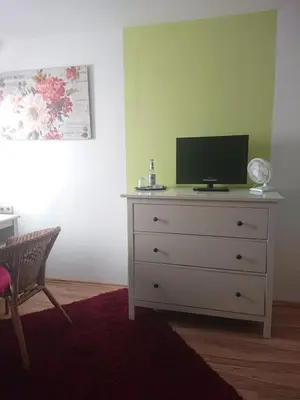 TV/Unterhaltungsangebot in der Unterkunft Landgasthof Gänsberg