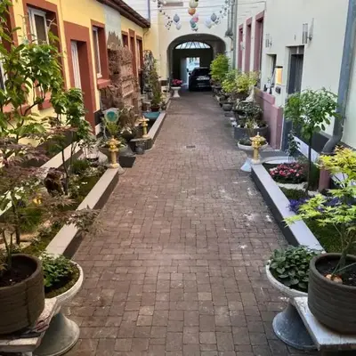 Trang Hotel Rastatt