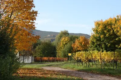 Naturlandschaft in der Nähe der Ferienwohnung