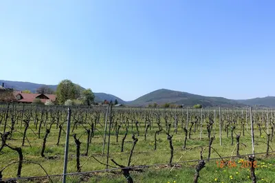 Naturlandschaft in der Nähe der Ferienwohnung